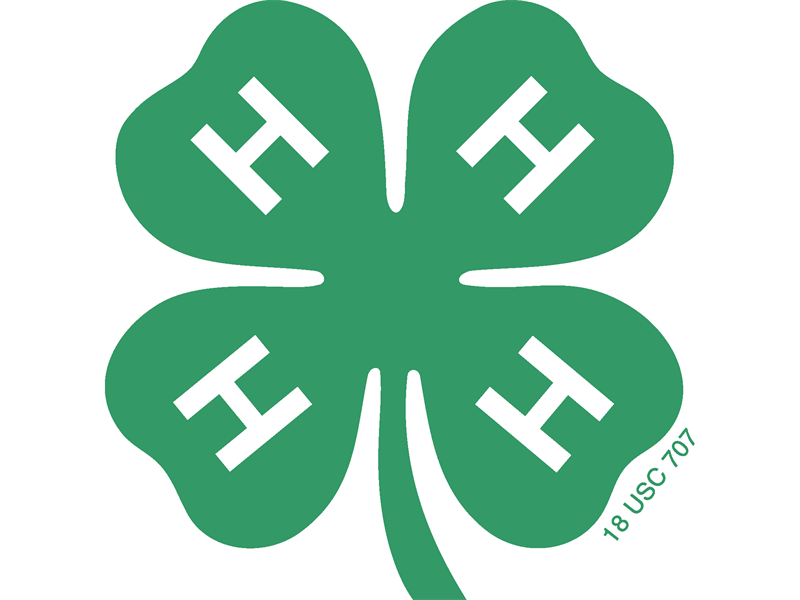 Logo for 2026 District 10 Horse Shows